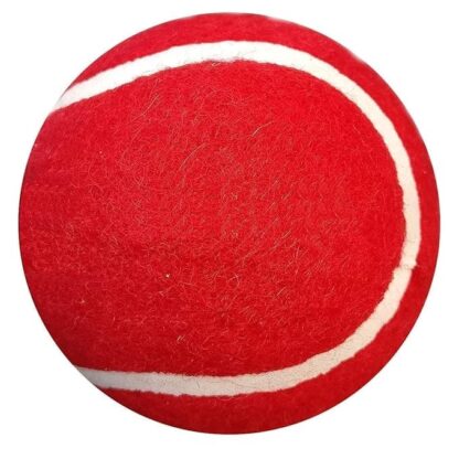 Heavy Tennis Ball Red